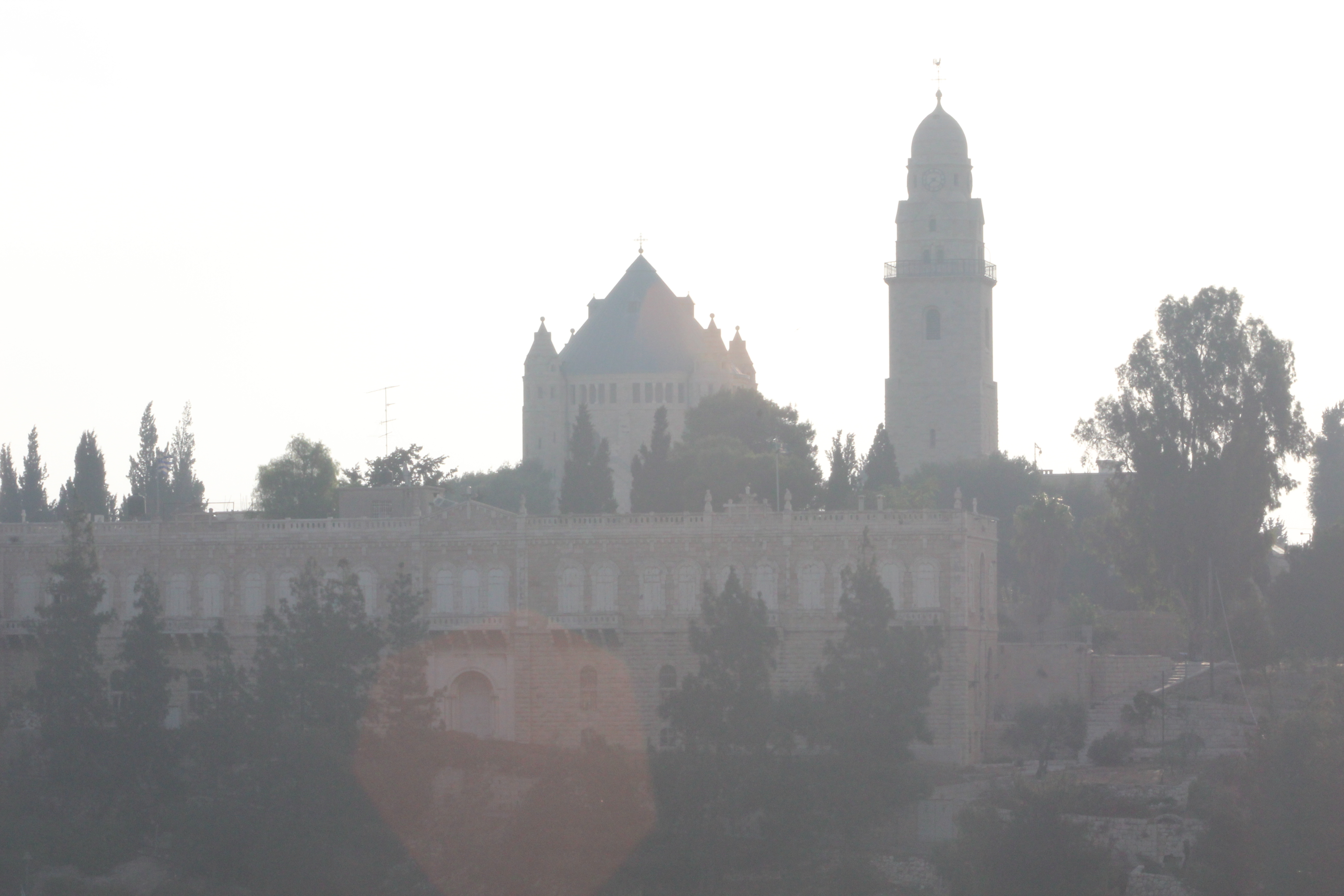 Picture1 (1)